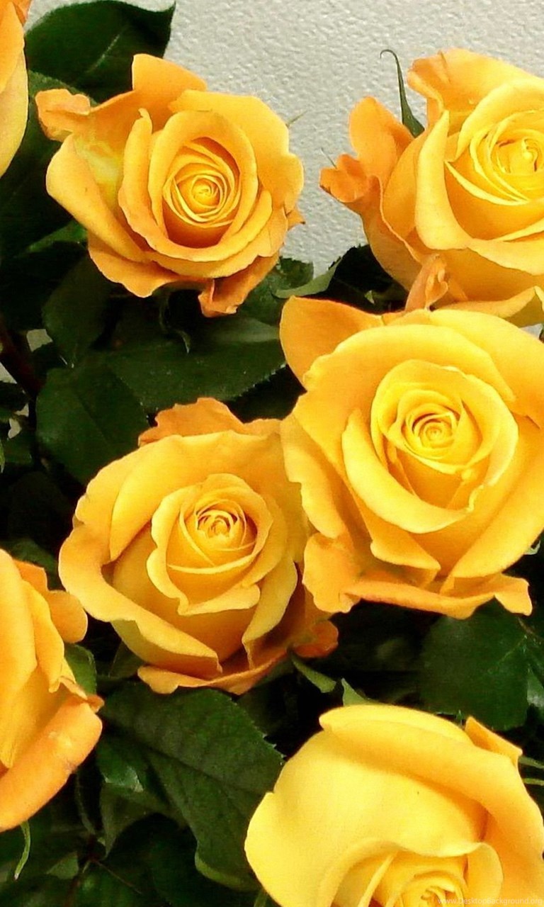 Iphone Flower Wallpaper 1080p
