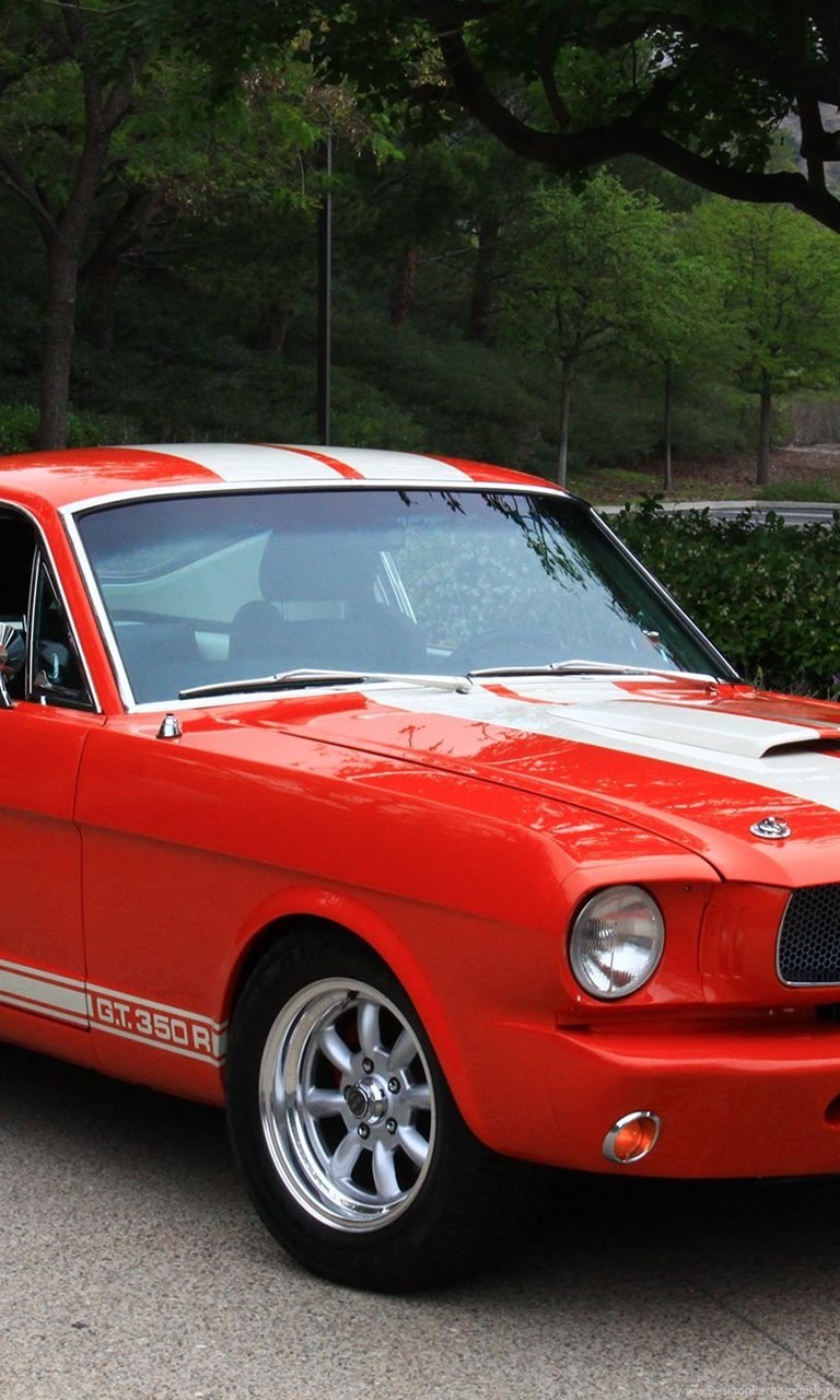 Shelby Mustang gt350 1965