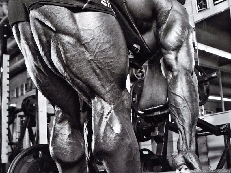 Featured image of post Kai Greene Wallpaper : Kai greene and training philosophy in bodybuilding.