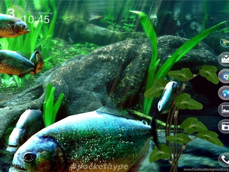 Desktop Aquarium 3d Live Wallpaper Image Num 91