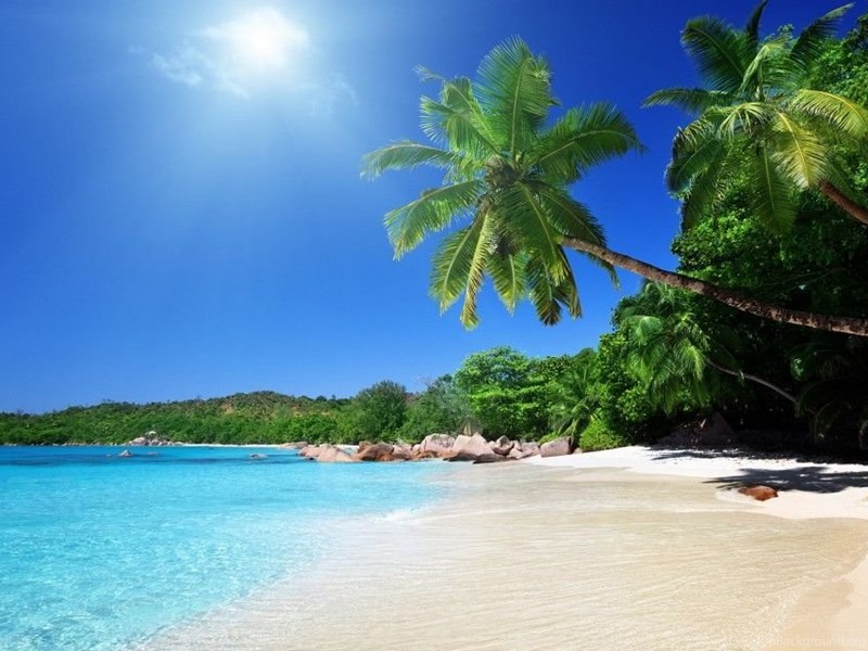 Free Beach Screensavers and Wallpapers Tropical Beach Scenes 1024