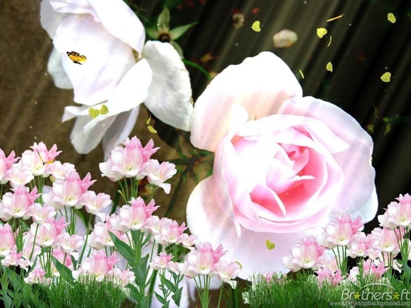 Download Free Beauty Of Nature Animated Wallpaper Beauty Of Desktop Background