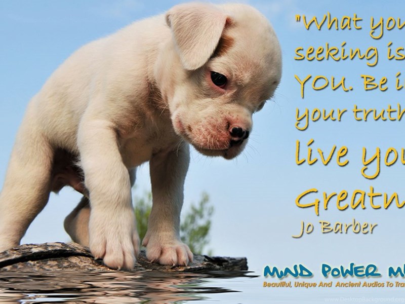 Words Of Wisdom And Cute Inspirational Wallpapers Part 2