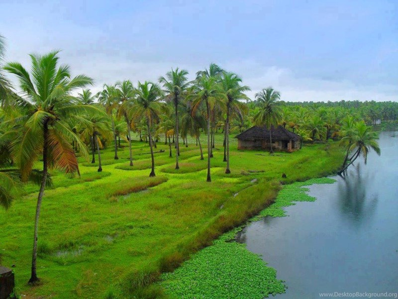 Kerala Nature Pictures Widescreen HD Wallpapers Desktop Background