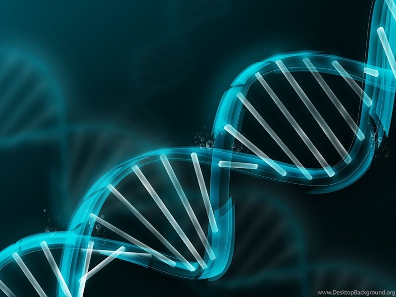 Genes, Biology HD Wallpapers Desktop Background