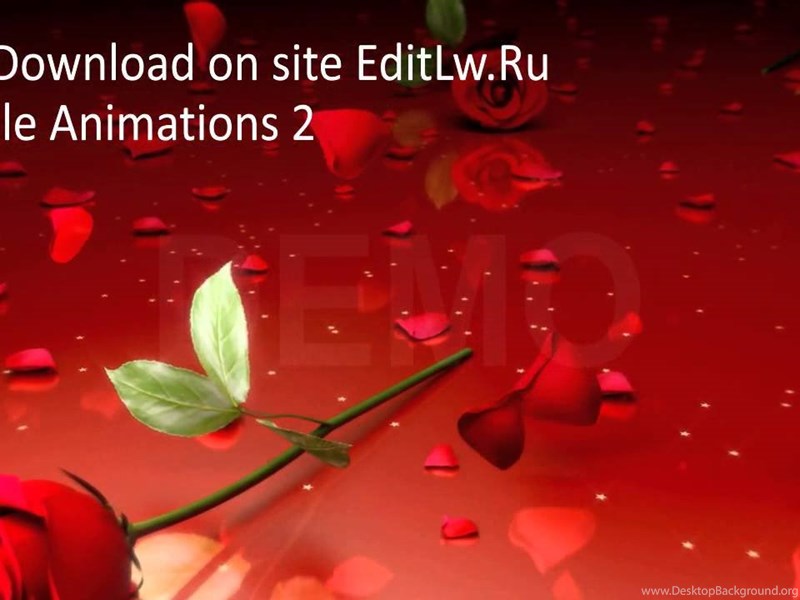 Red Rose Animation Video Backgrounds Hd Footage Free Download