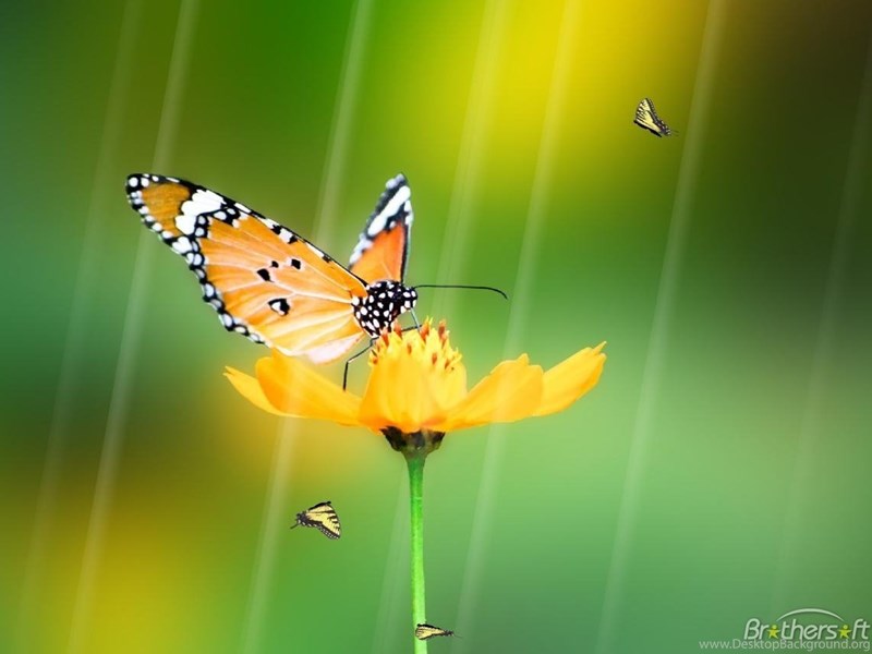 Animated Gif Desktop Backgrounds Wallpapers Hd Base Desktop Background