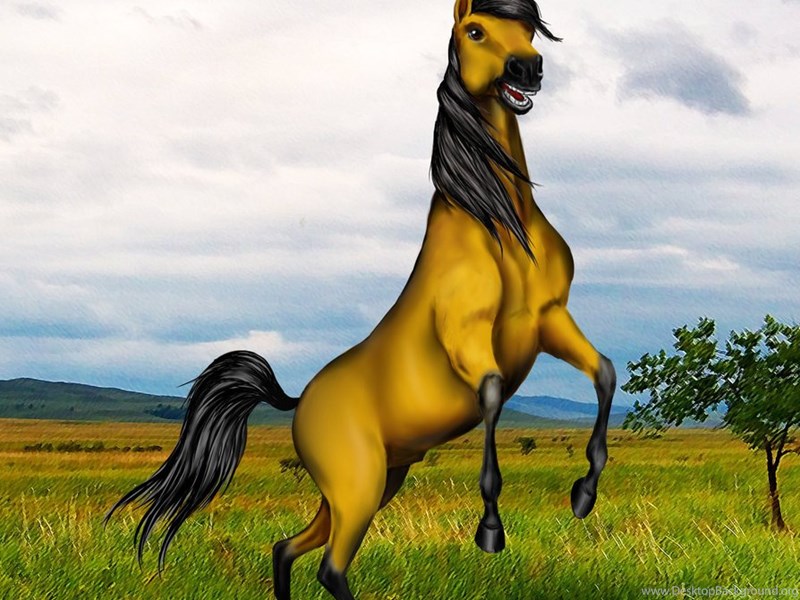 Download Spirit: Stallion Of The Cimarron By WhiteOrchidee On DeviantArt Fu...
