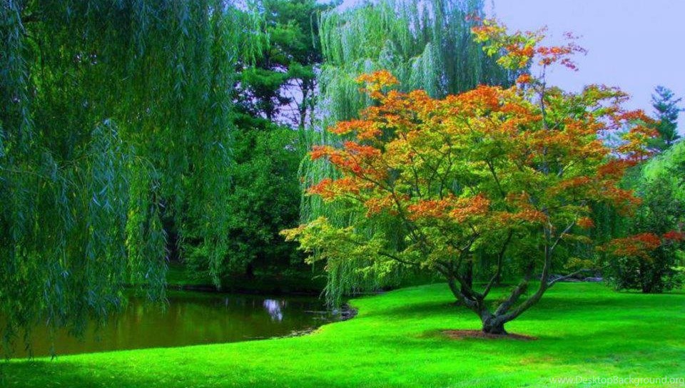Iphone Android Nature Wallpaper Hd For Mobile