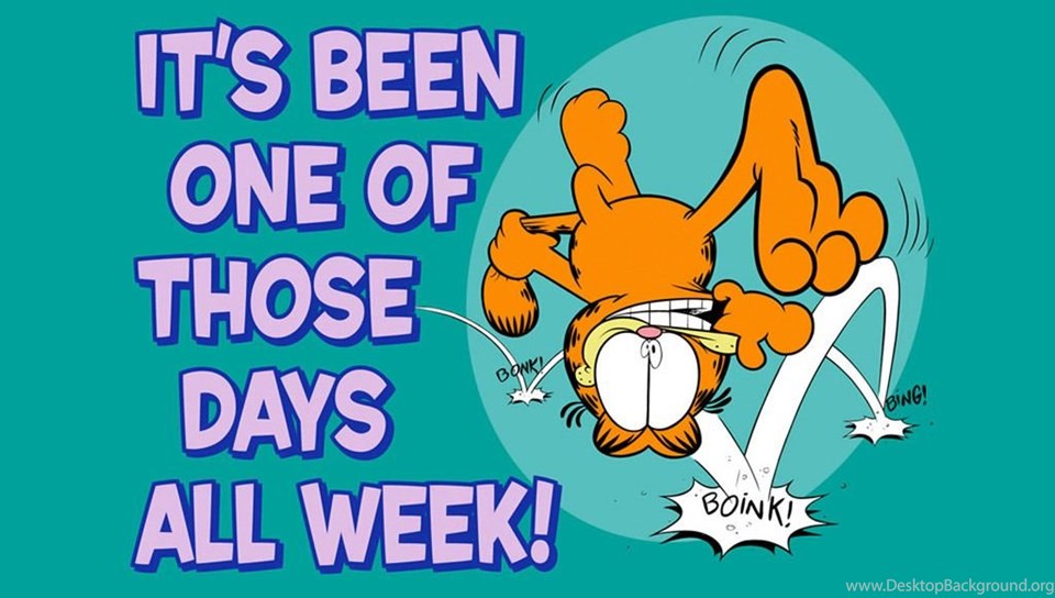 Funny Quotes About The Month Of May