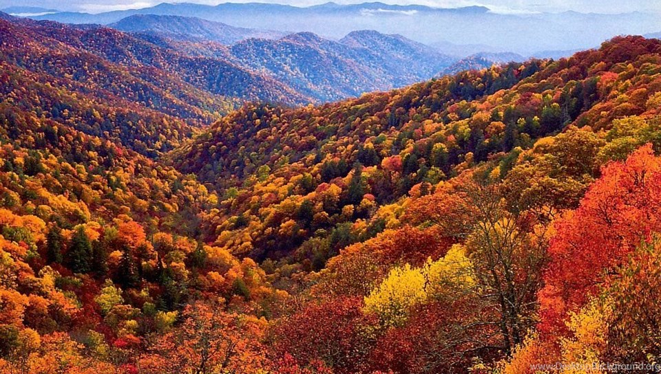 Download Best Time To See Smoky Mountain Fall Colors Mobile, Android, Table...