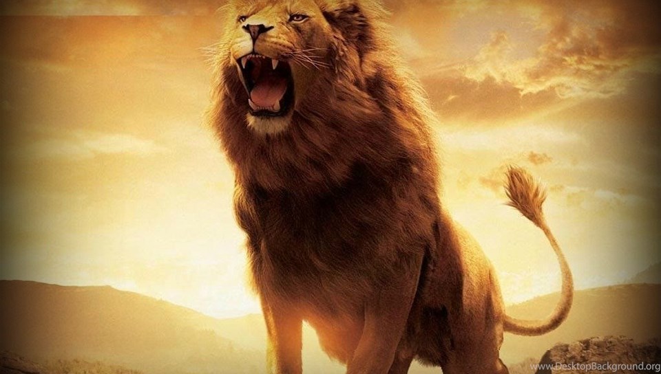 Roaring Lion Pictures Wallpapers 3d Hd Pictures Desktop Background