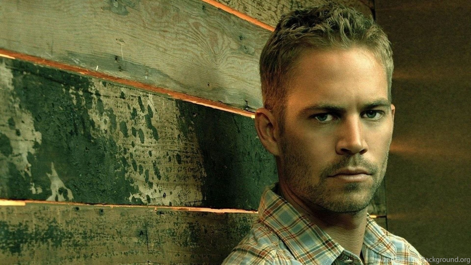 hd paul walker wallpapers