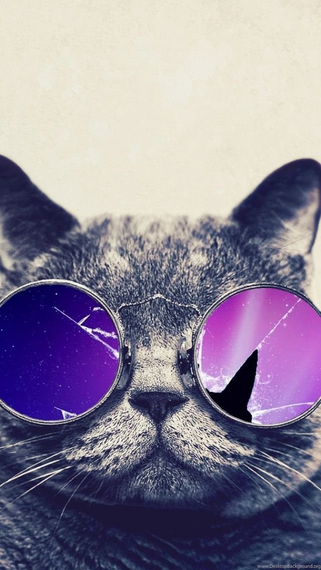 Cute Cat Iphone 5 Wallpaper Hd Free Download Iphonewalls