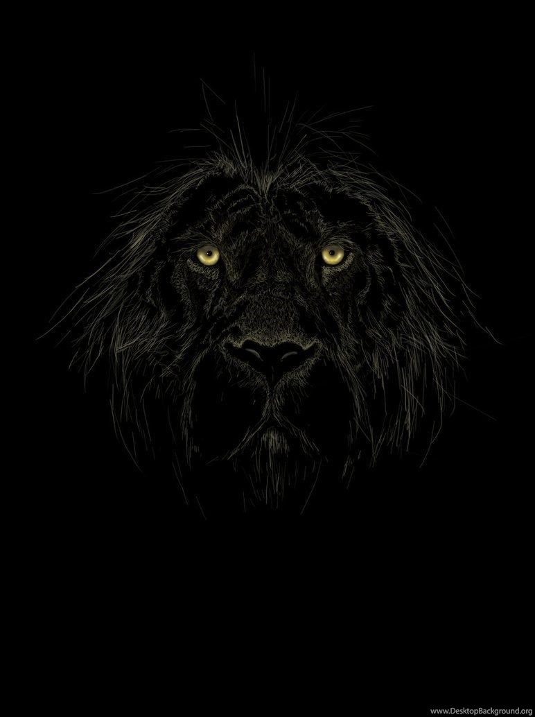 Black Lion By Ian Somers On Deviantart Desktop Background