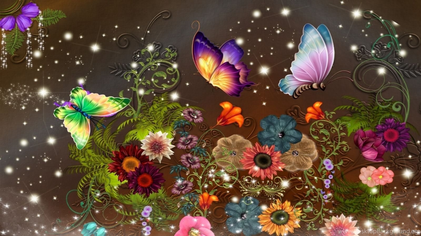 Top Colorful Butterfly Wallpapers 16 Images For Pinterest Desktop
