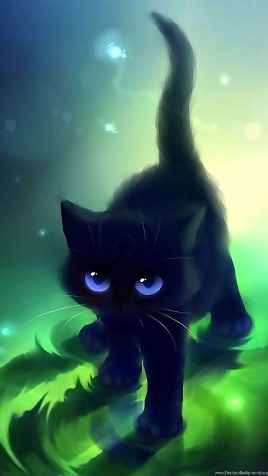 Galaxywolf Cute Kitty Cat I Found On A Wallpapers App Tags