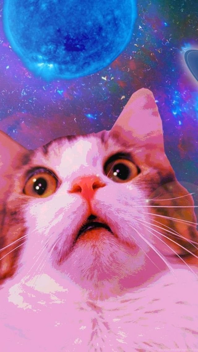 Funny Space Cat iPhone 5 Wallpapers Desktop Background