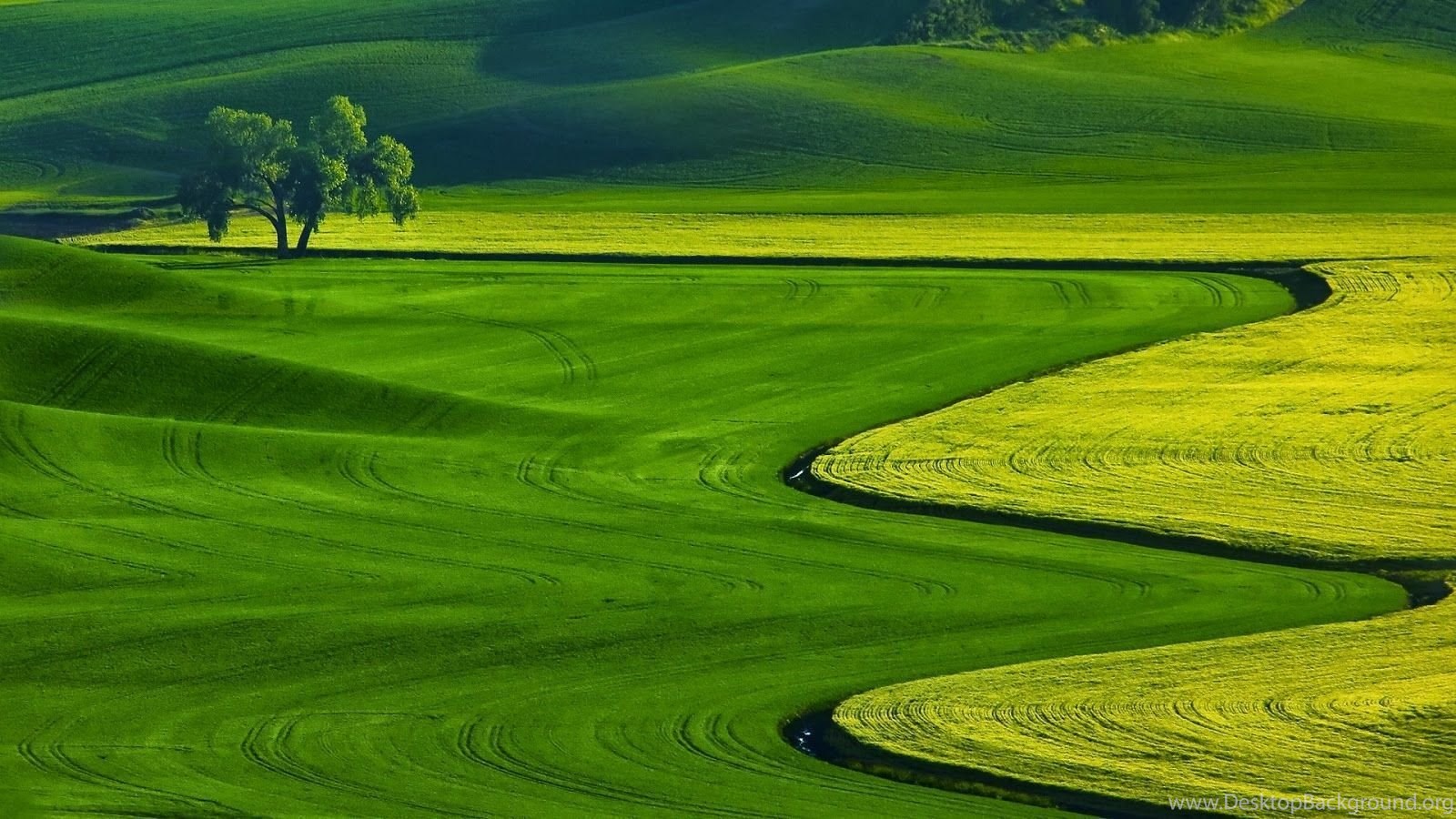 desktopbackground org