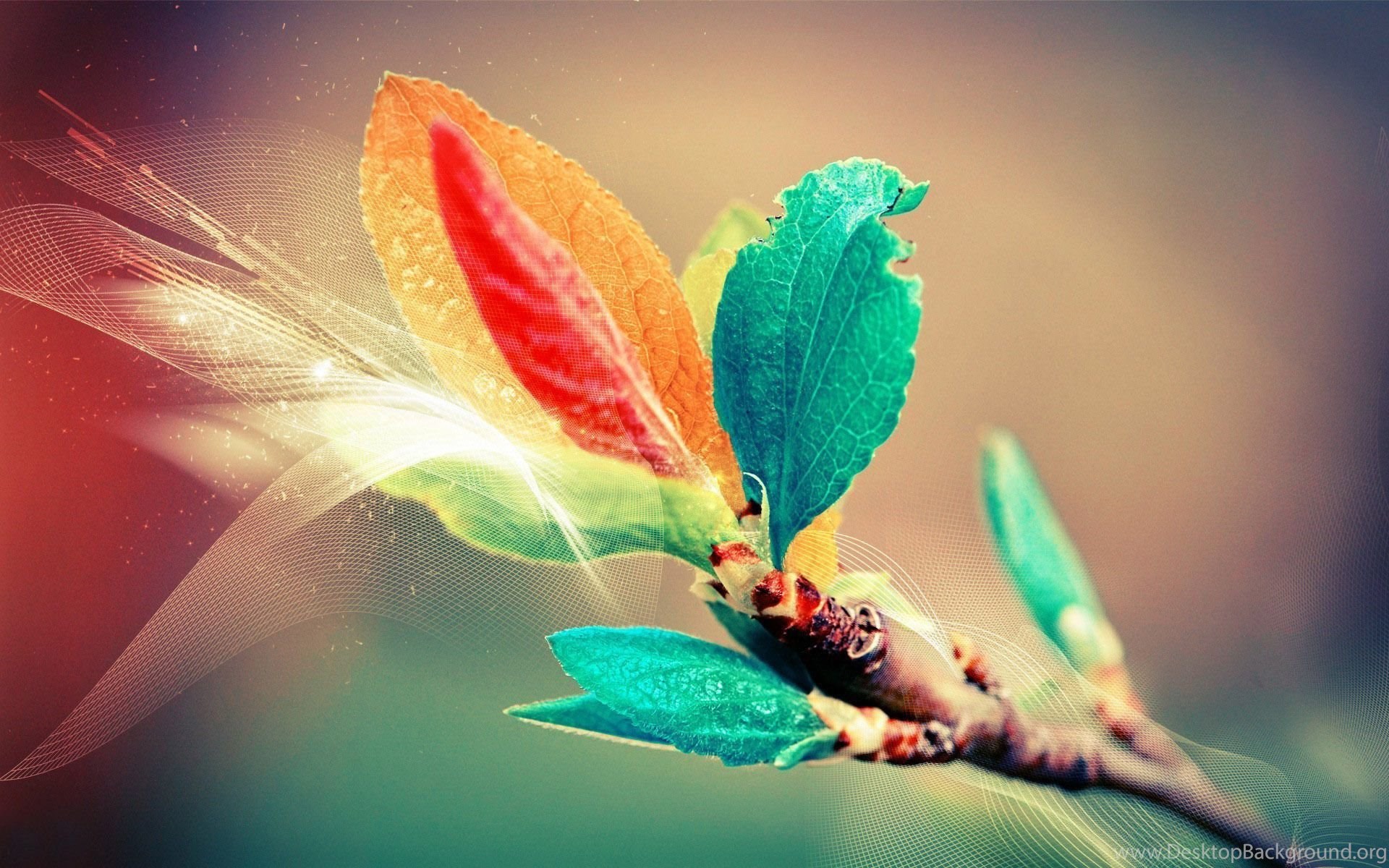 Top Colorful Leaves Wallpapers And Images For Pinterest Desktop Background Hd iphone retina optimized wallpapers for your iphone, with parallax enhanced! top colorful leaves wallpapers and