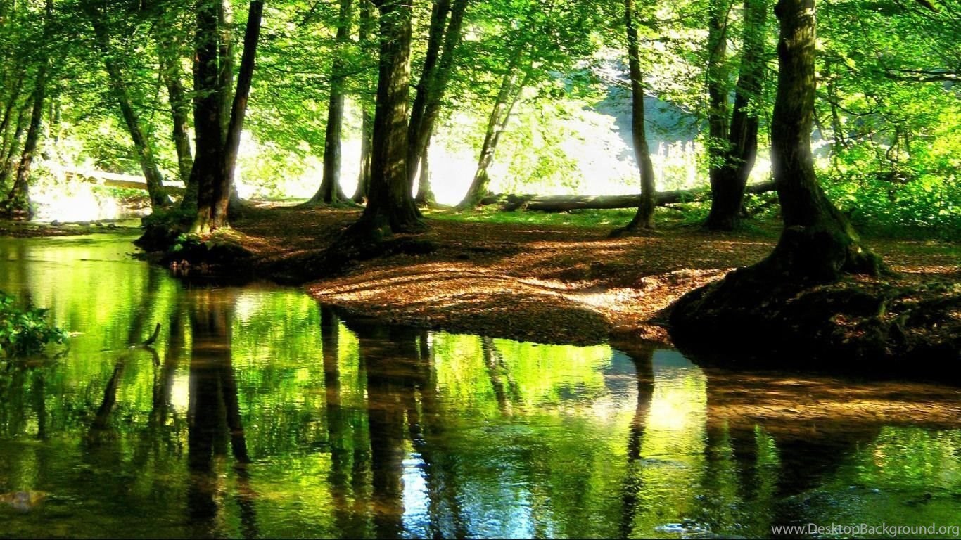 pics Green Nature Background Images Hd 1080P Free Download desktopbackground org