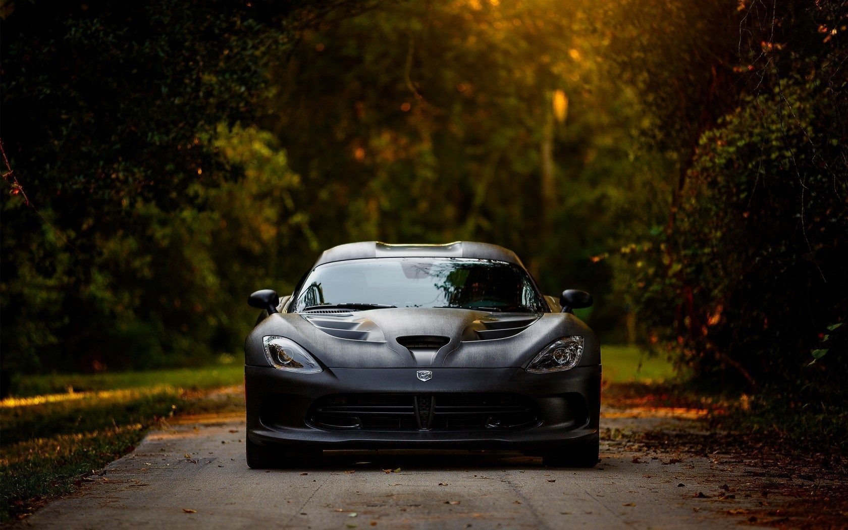 Dodge Viper Car Road Hd Wallpapers Freewallsup Desktop Background