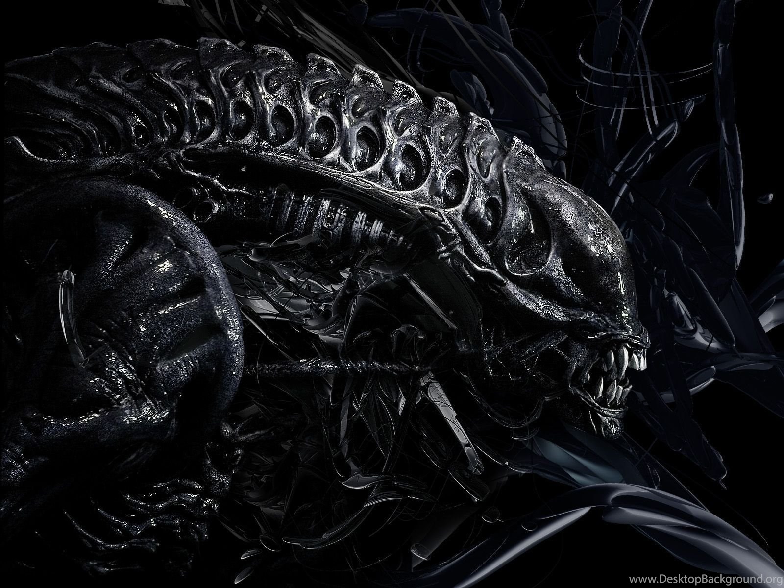 Gallery For Alien Movie Wallpapers Hd Desktop Background Images, Photos, Reviews