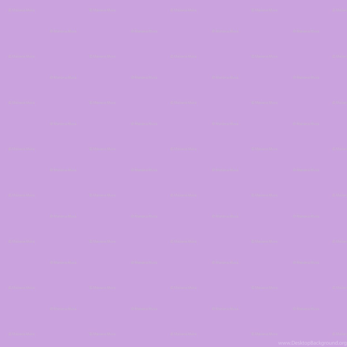 Simple Flowers Light Purple Wallpapers Floating Lemons Spoonflower Desktop Background