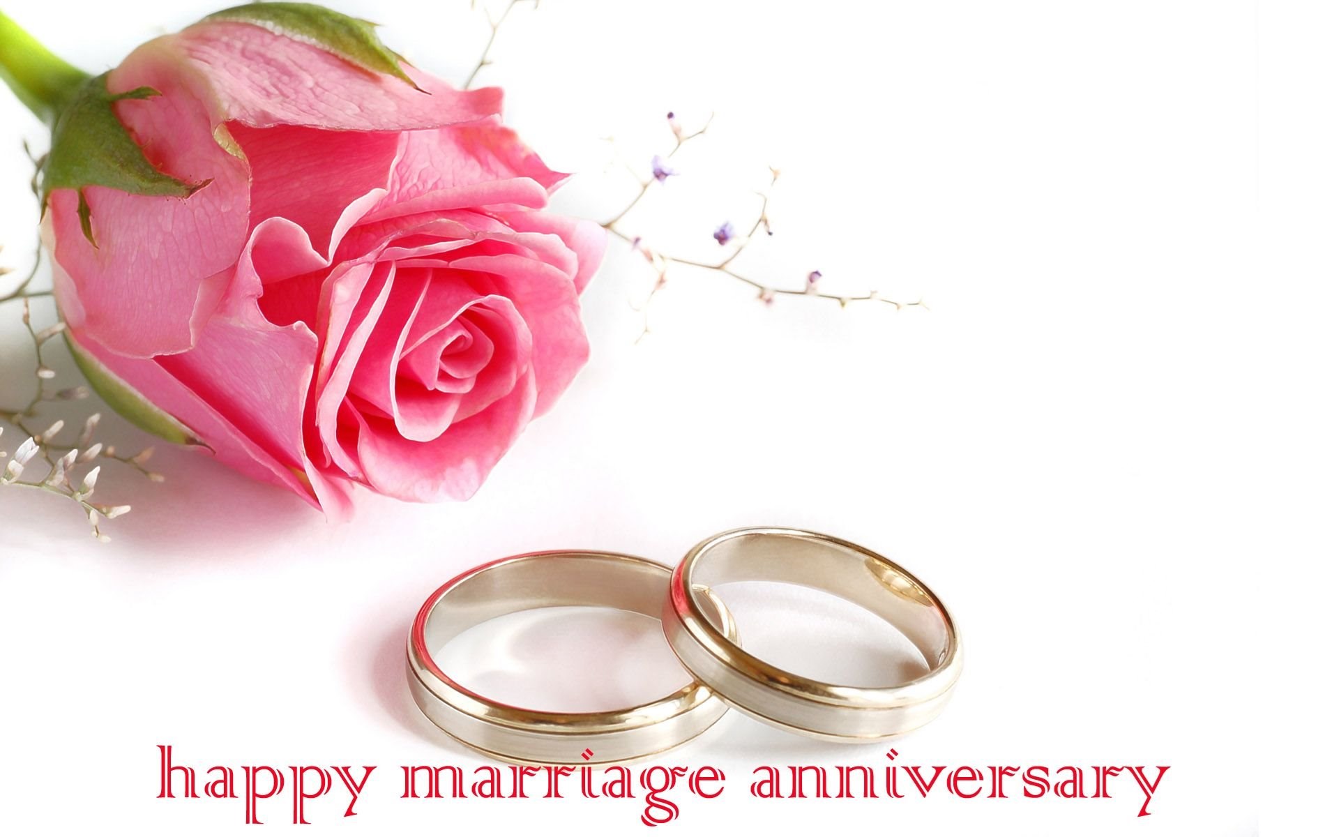 images Beautiful Happy Wedding Anniversary Images top 50 beautiful happy wedding