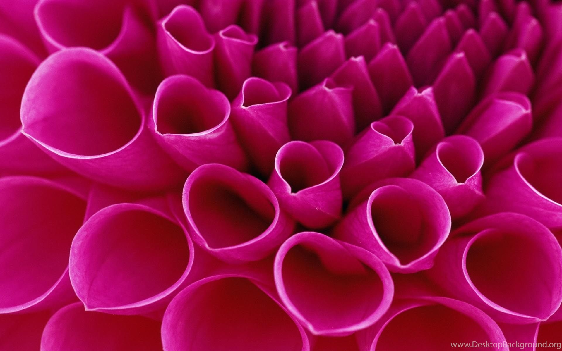 3d Wallpapers For Android Phones Free Download 8 Pleasantwalls