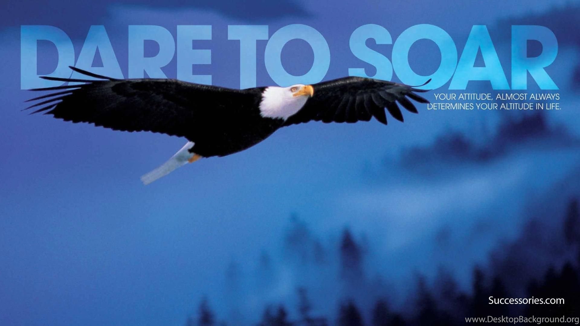 Dare To Soar Wallpaper Desktop Background