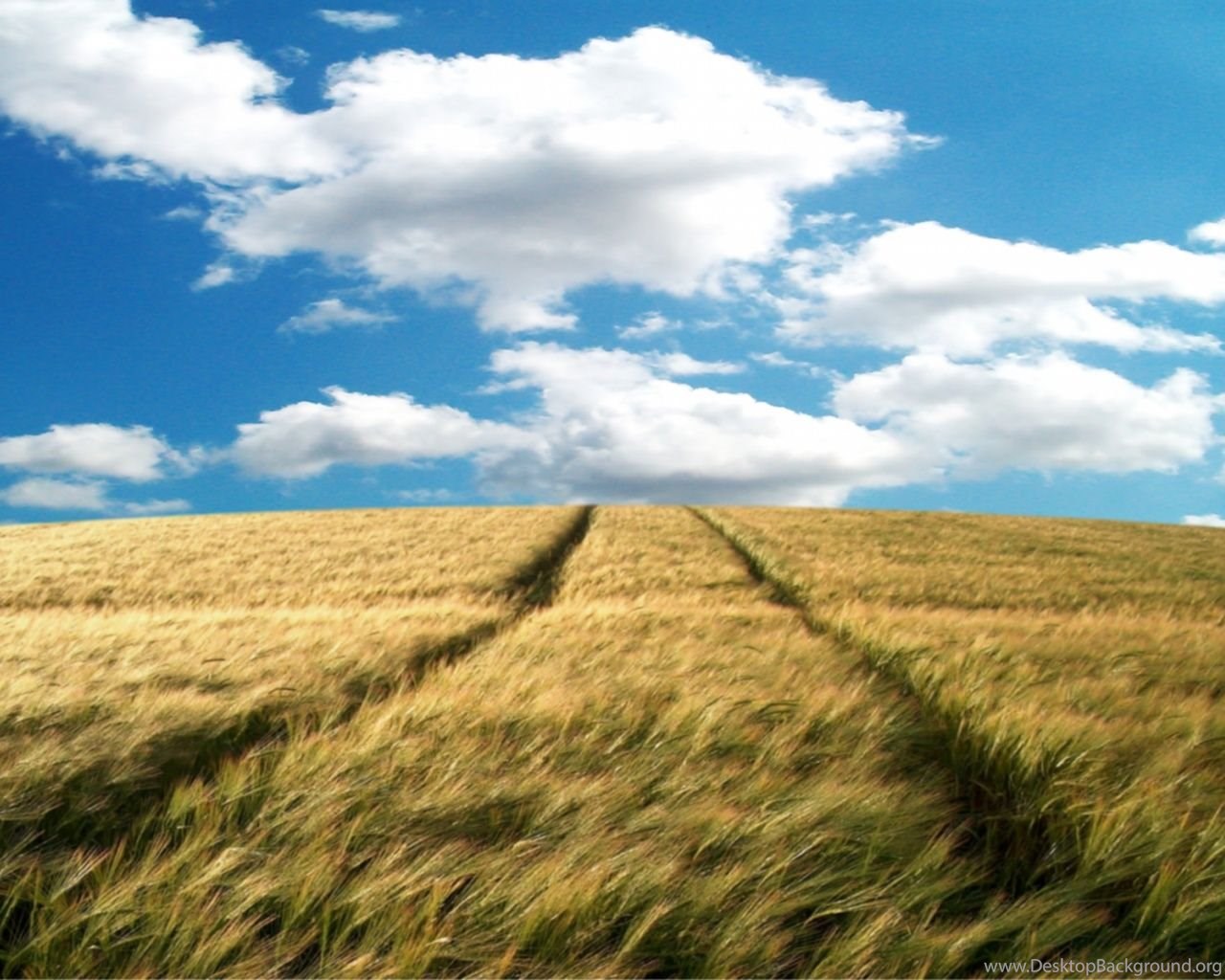 desktopbackground org