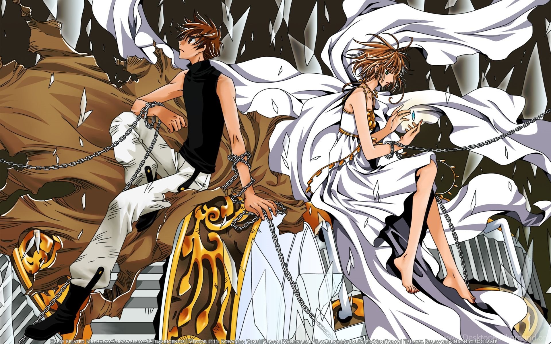 Tsubasa Reservoir Chronicle Sakura And Syaoran Star Light