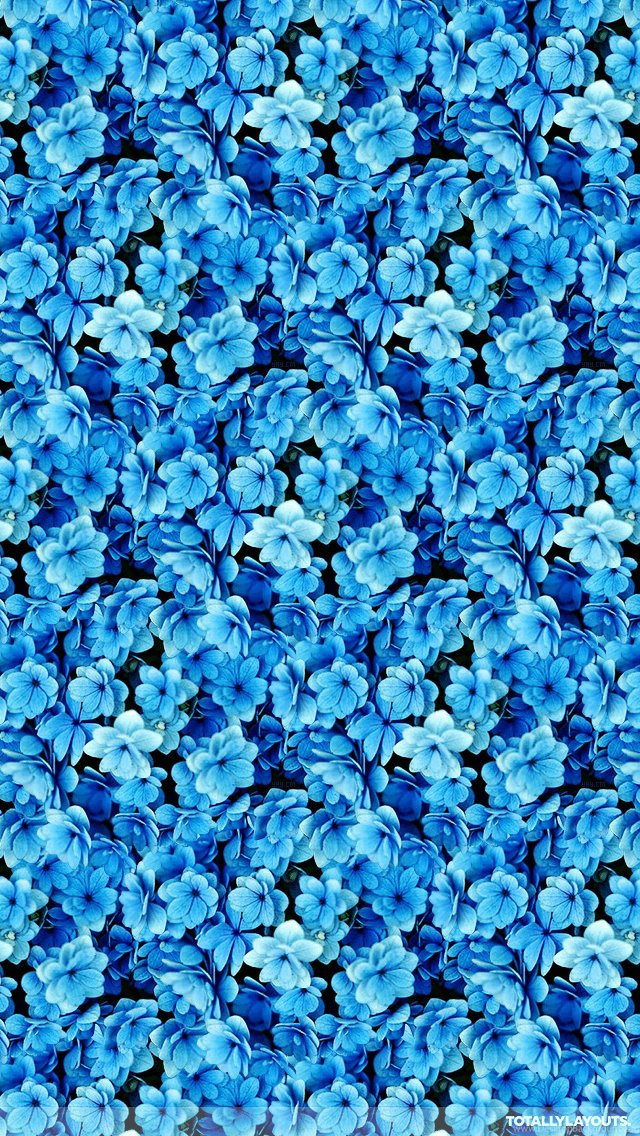 Bright Blue Flower Montage iPhone Wallpapers Floral Wallpapers Desktop