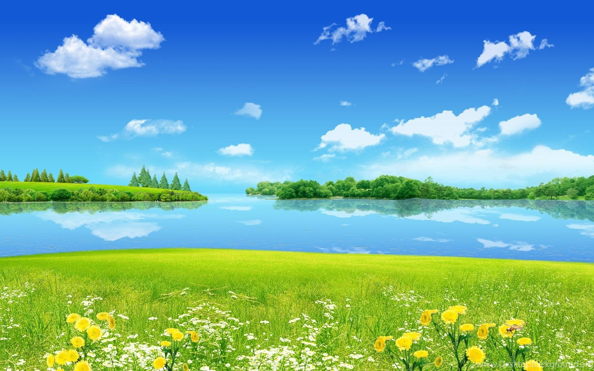 Summer clearance background hd