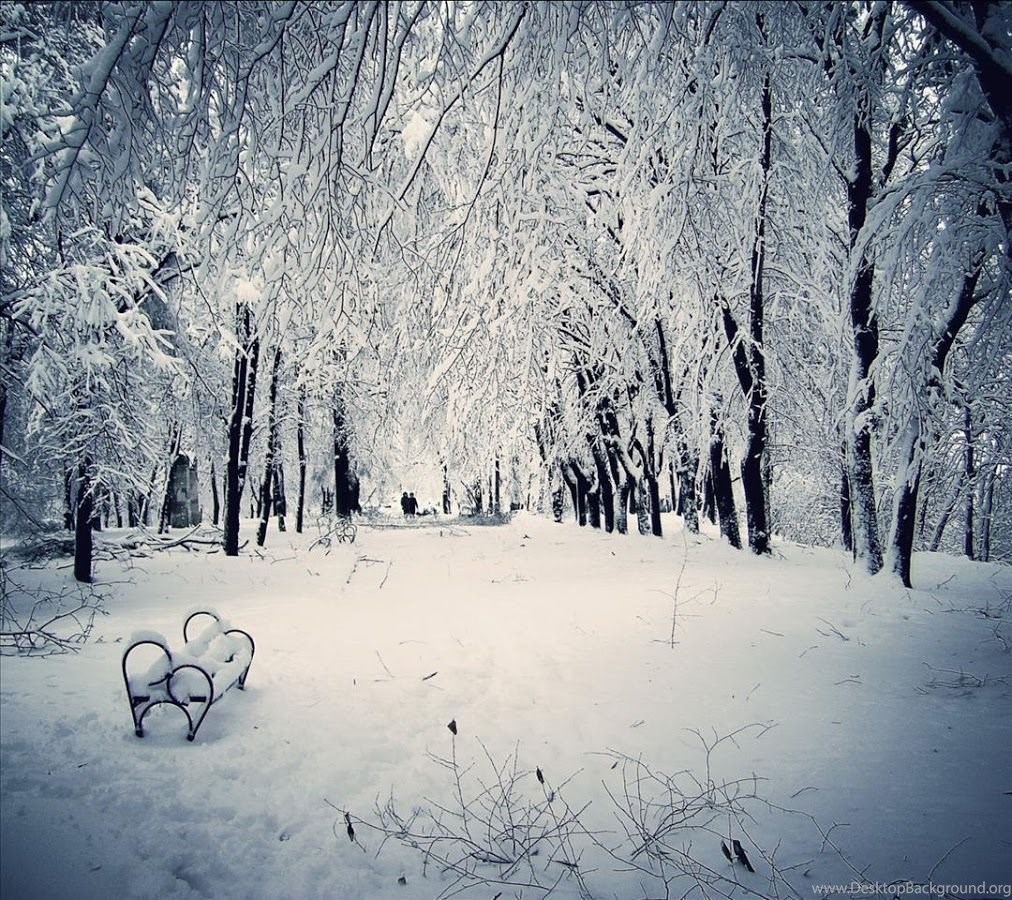 Snowfall Live Wallpapers Desktop Background