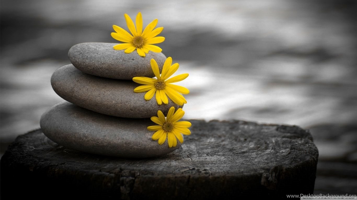 2k zen meaning 2k zen meaning