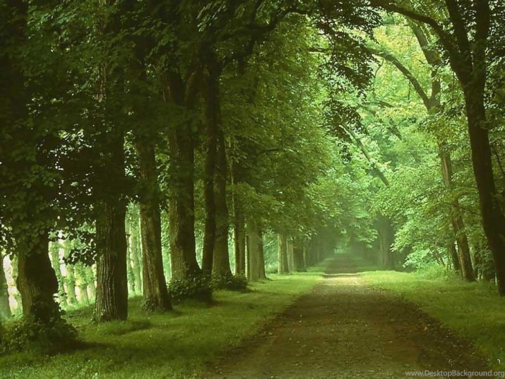 Cool backgrounds nature discount