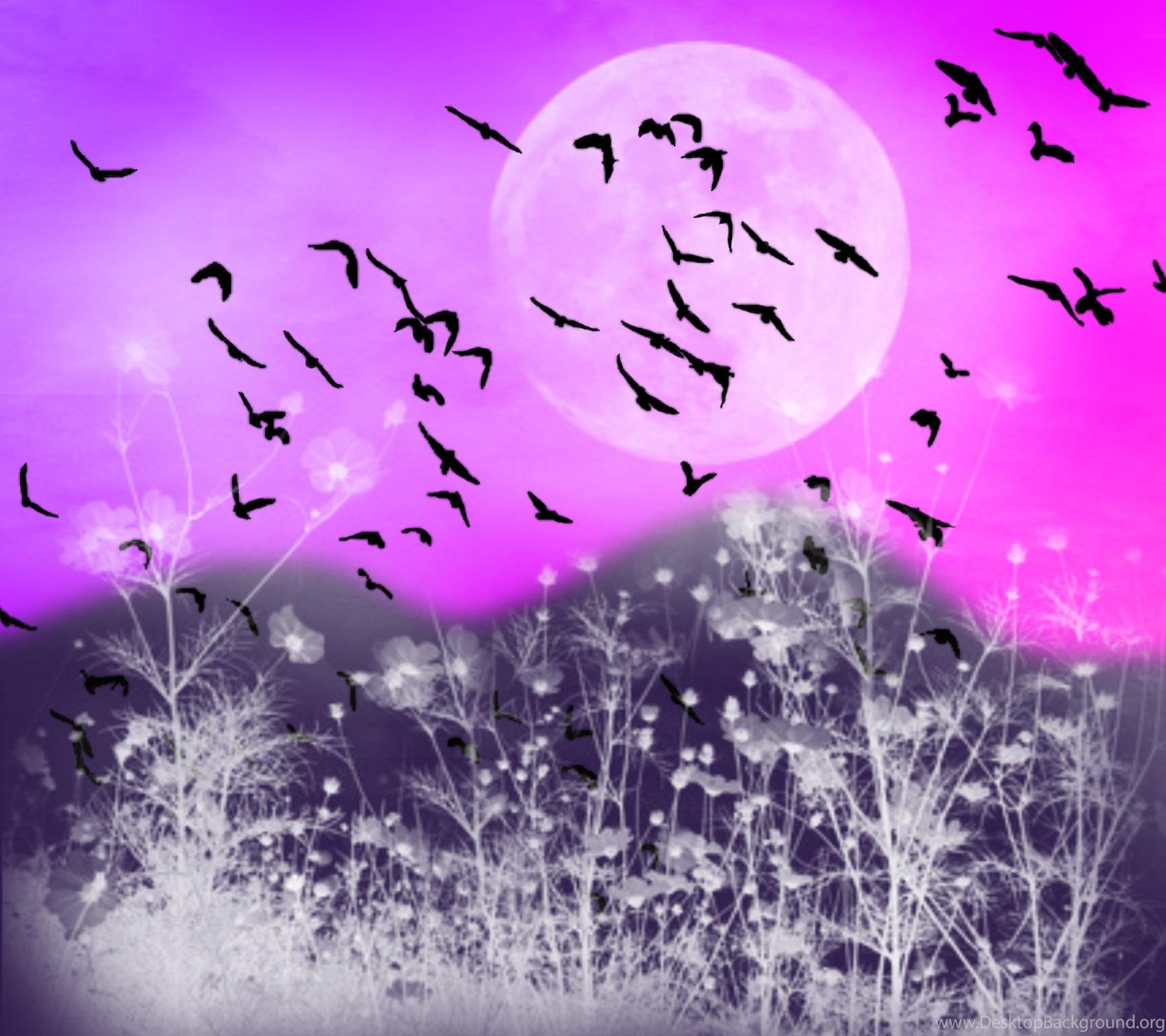 Birds theme. Птицы в небе. Анимированные пейзажи.