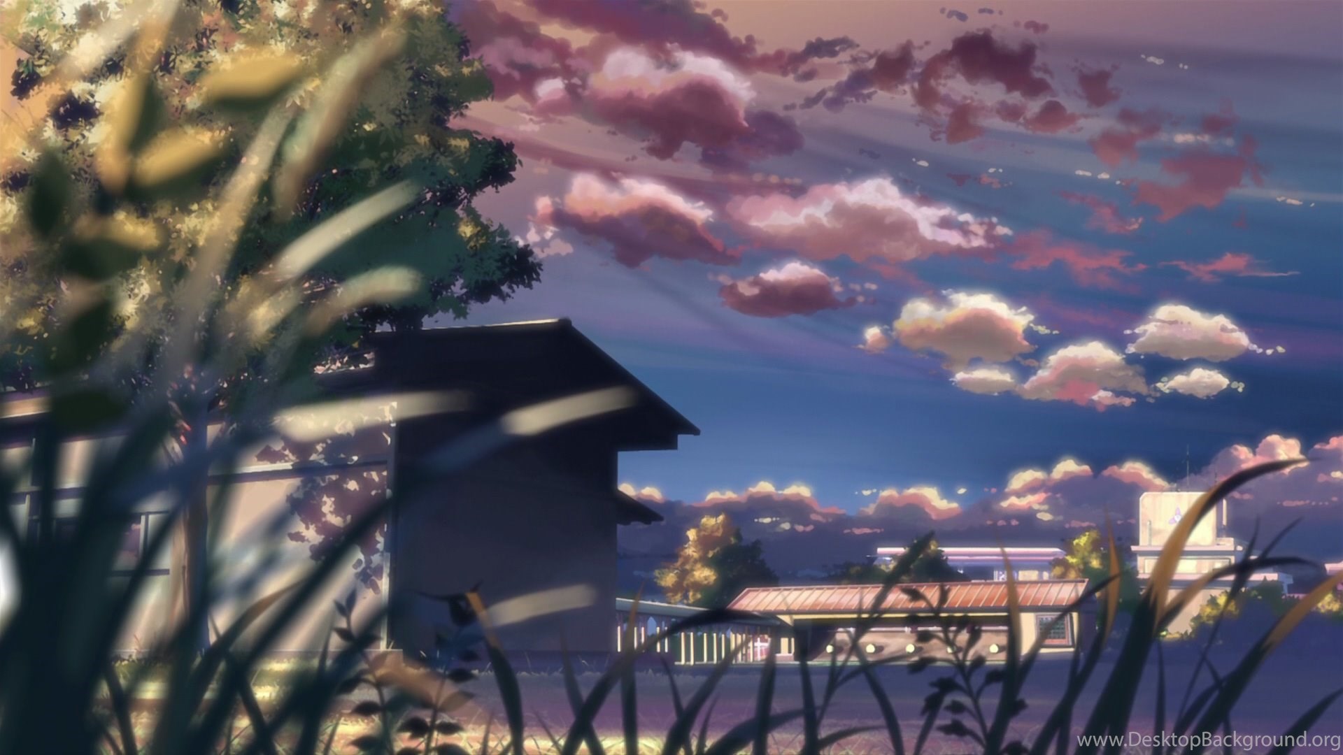 79 5 Centimeters Per Second Hd Wallpapers Desktop Background