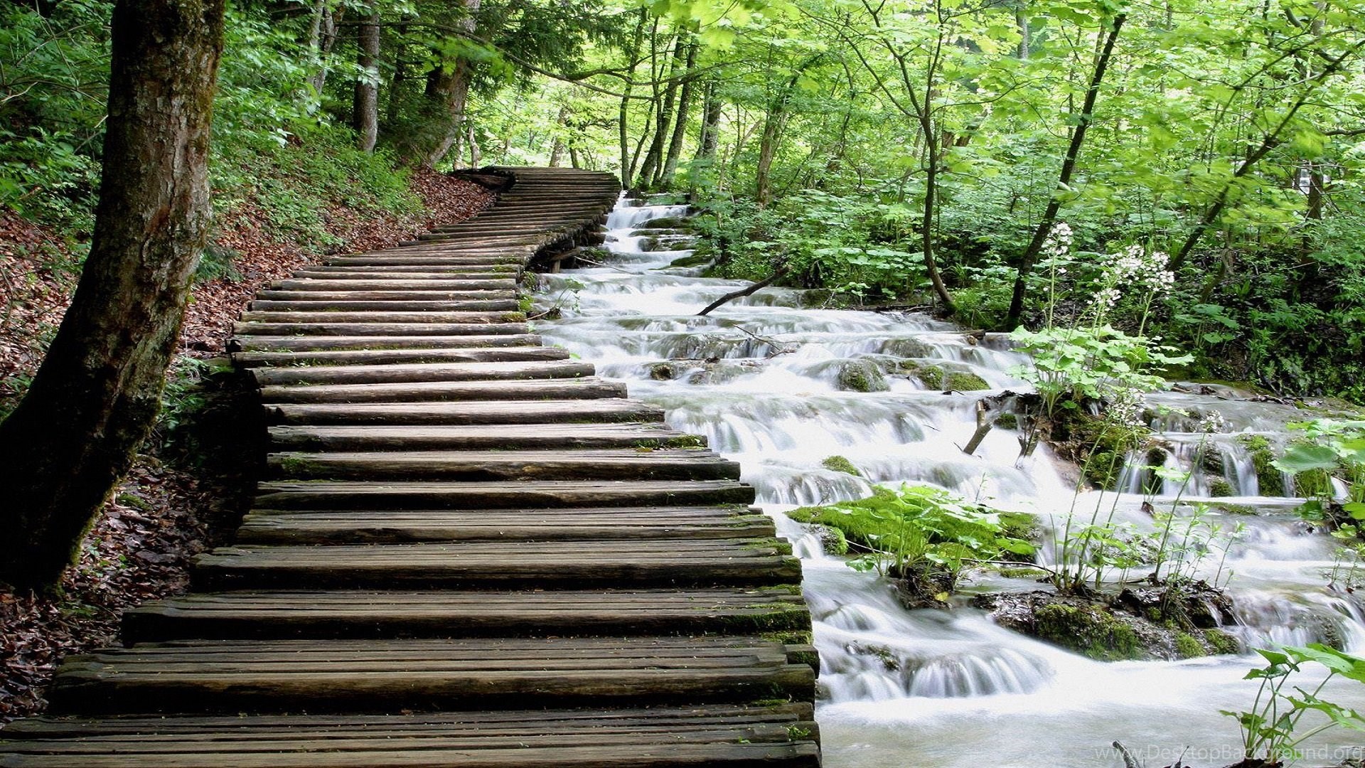 Most Amazing Waterfall 3d Hd Wallpapers Free For Desktop Desktop