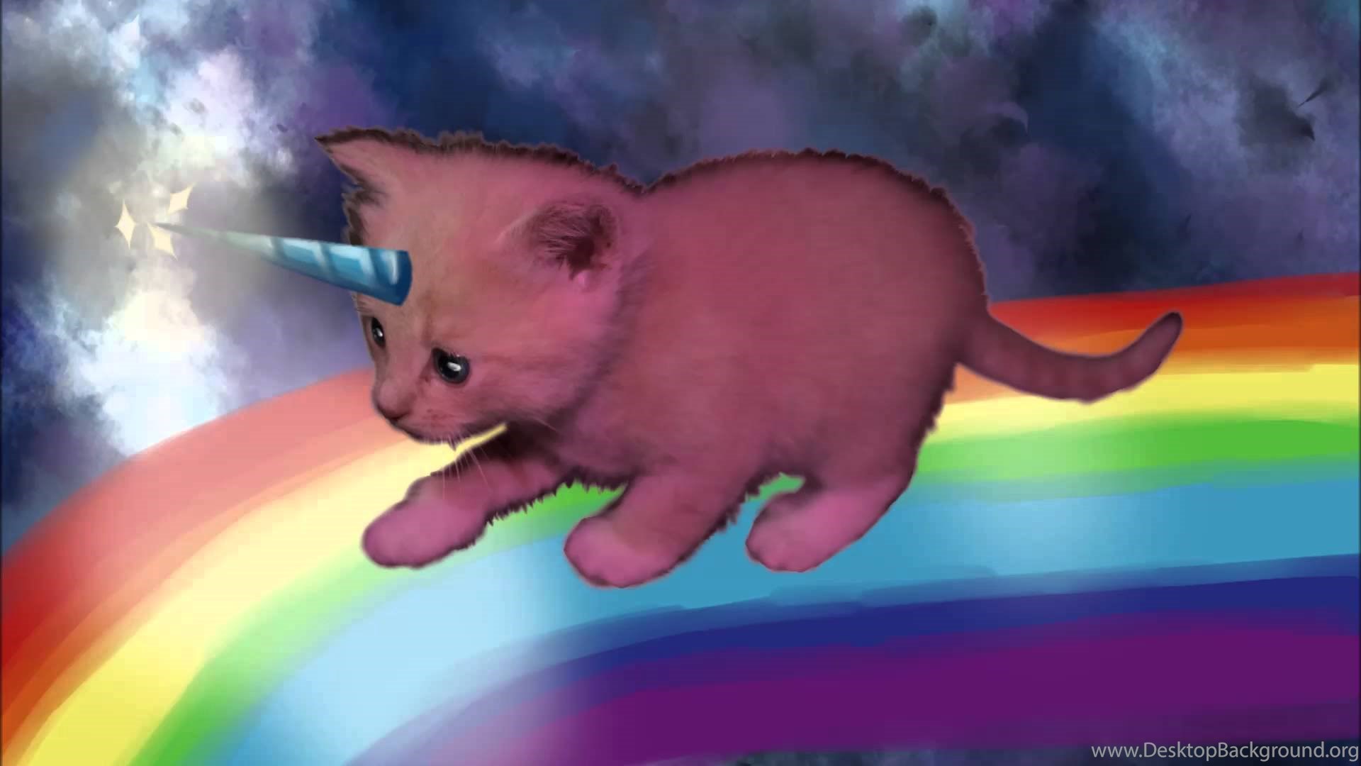 pink fluffy unicorn teddy