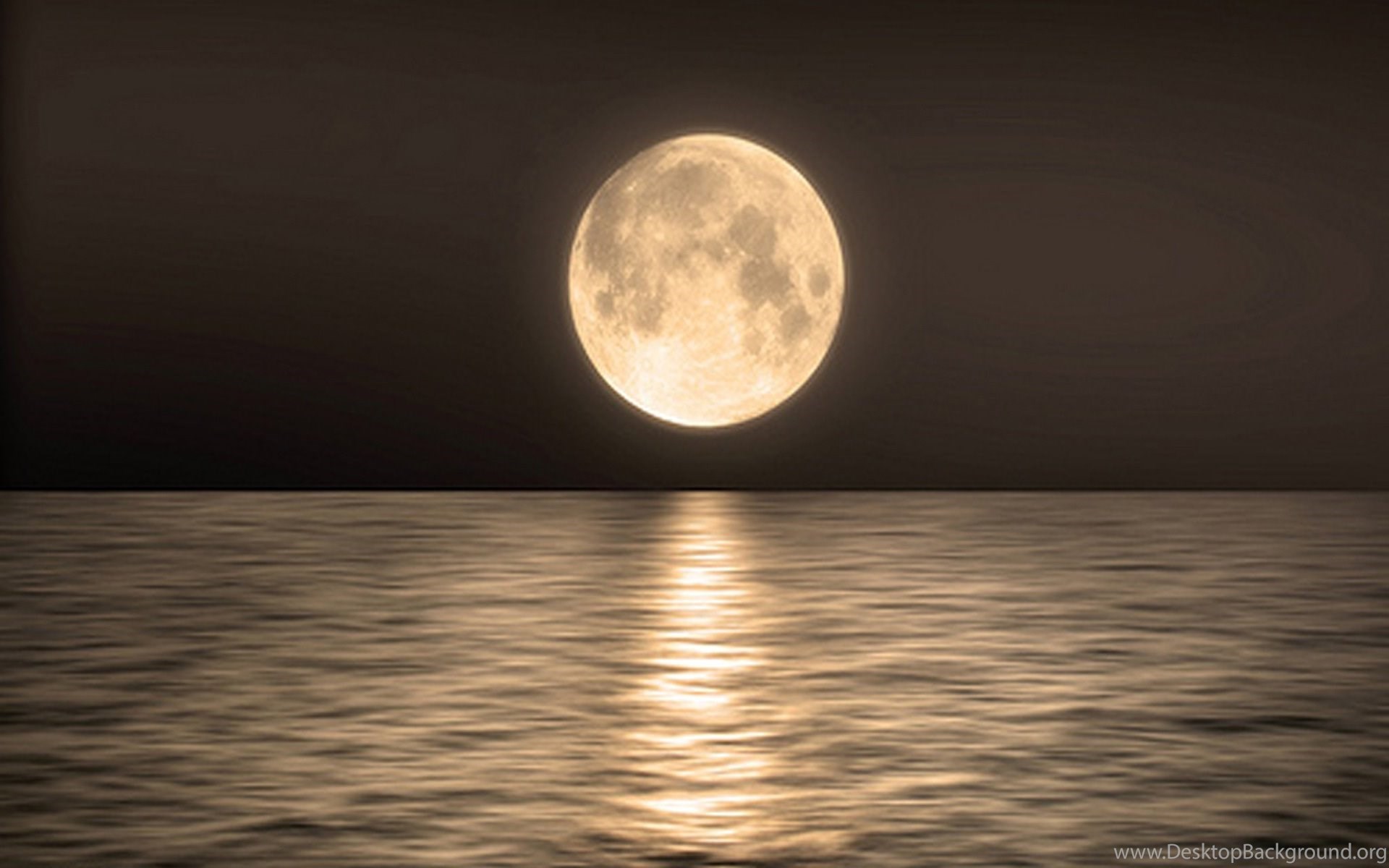 Full Moon Over Ocean At Night Wallpapers Desktop Background