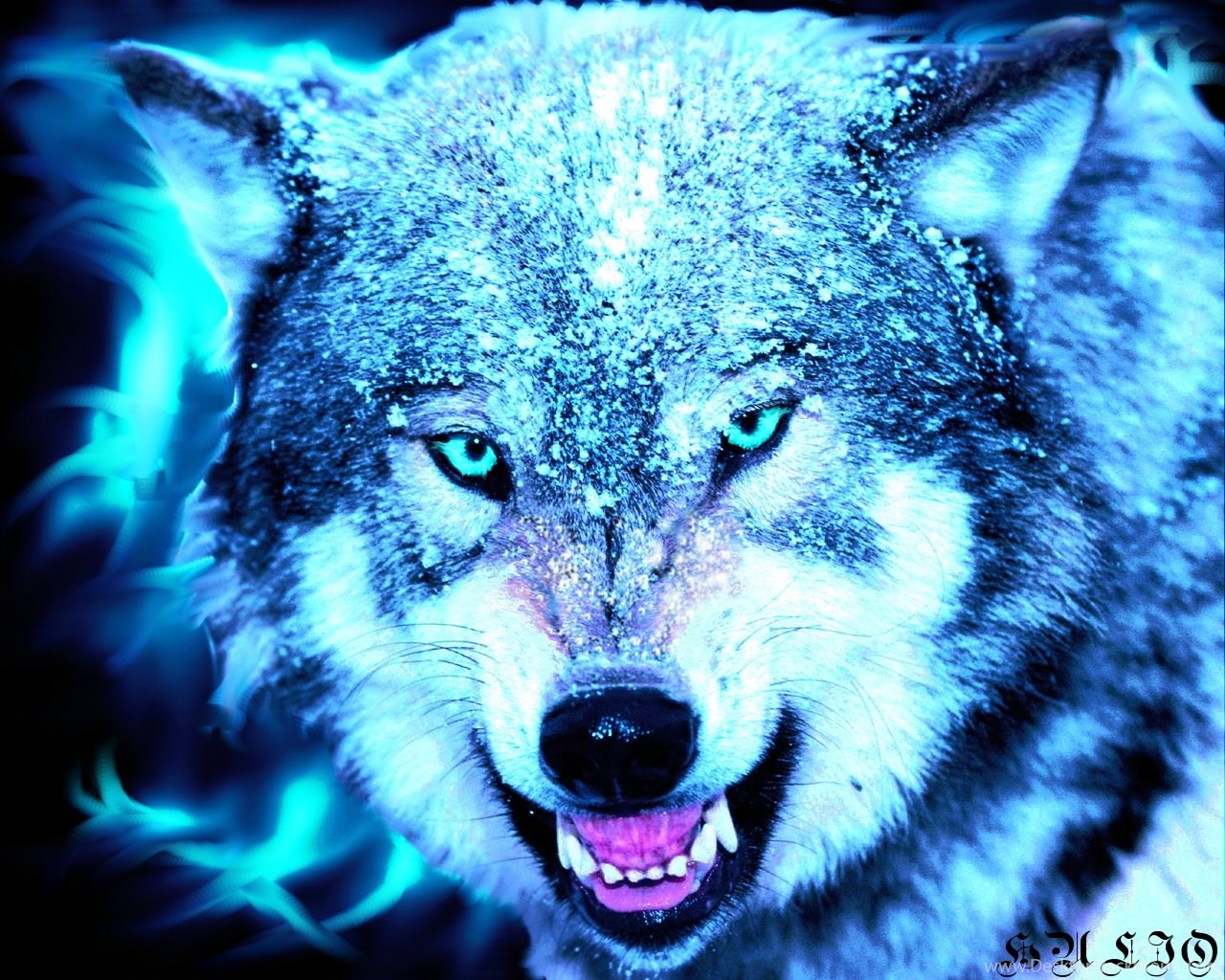 Волк на телефон оскал. Оскал волка. Злой волк. Голубой волк. Неоновый волк.