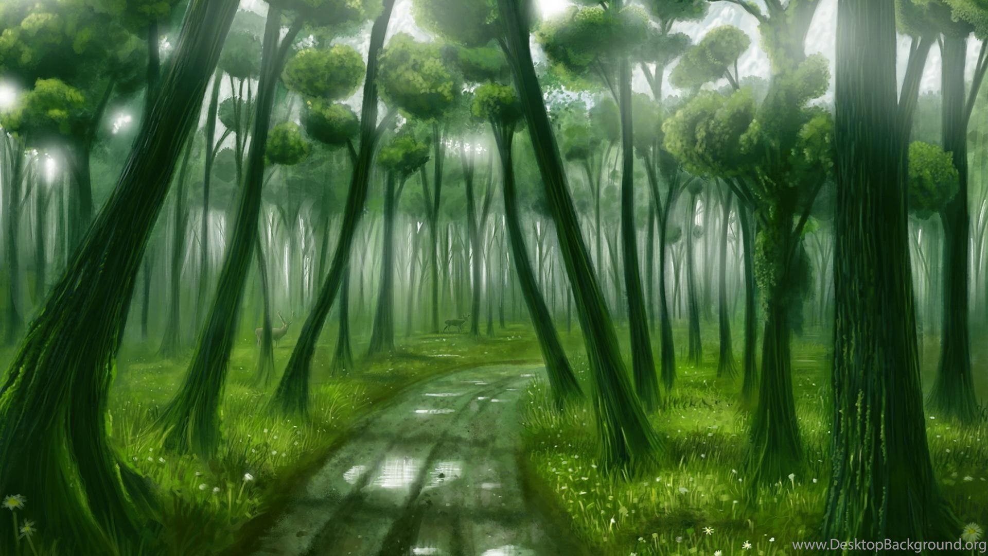 Magic Forest Wallpaper Desktop Background