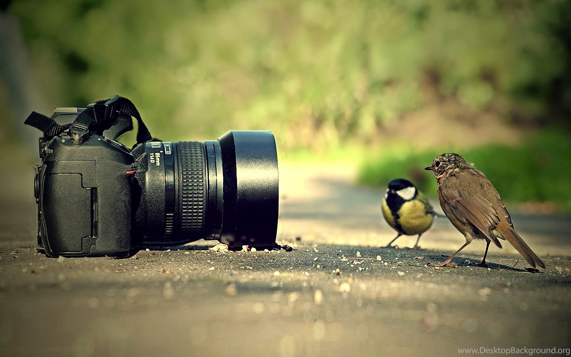 Unduh 44 Background Camera Tumblr Gratis Terbaru