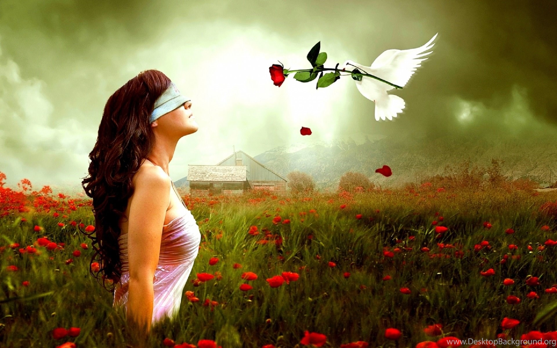 Girl In Love Wallpapers Hd Download Of First Love Wallpapers