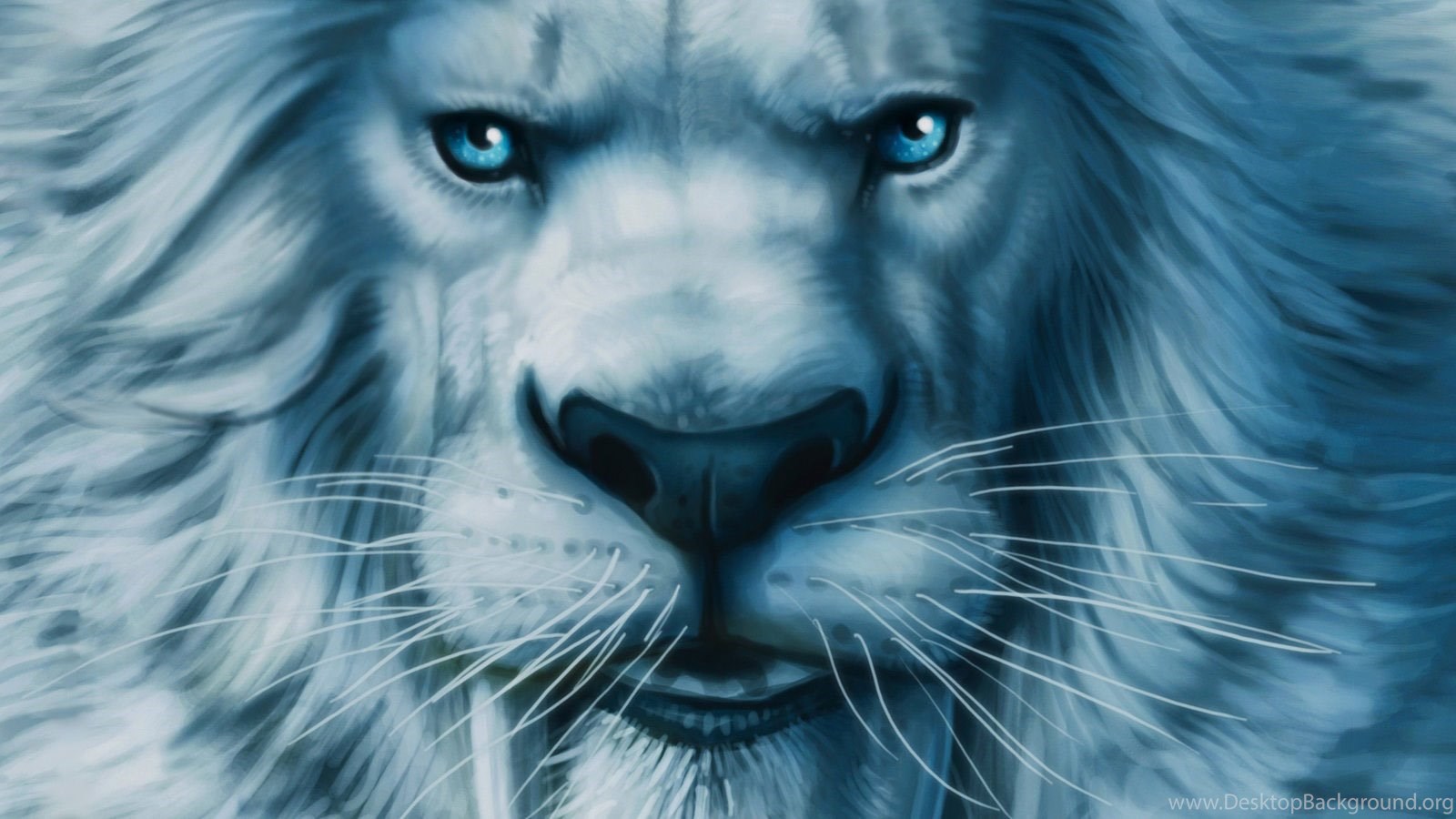 Free Wallpapers Big Blue Lion 1600x900 Wallpapers Desktop Background