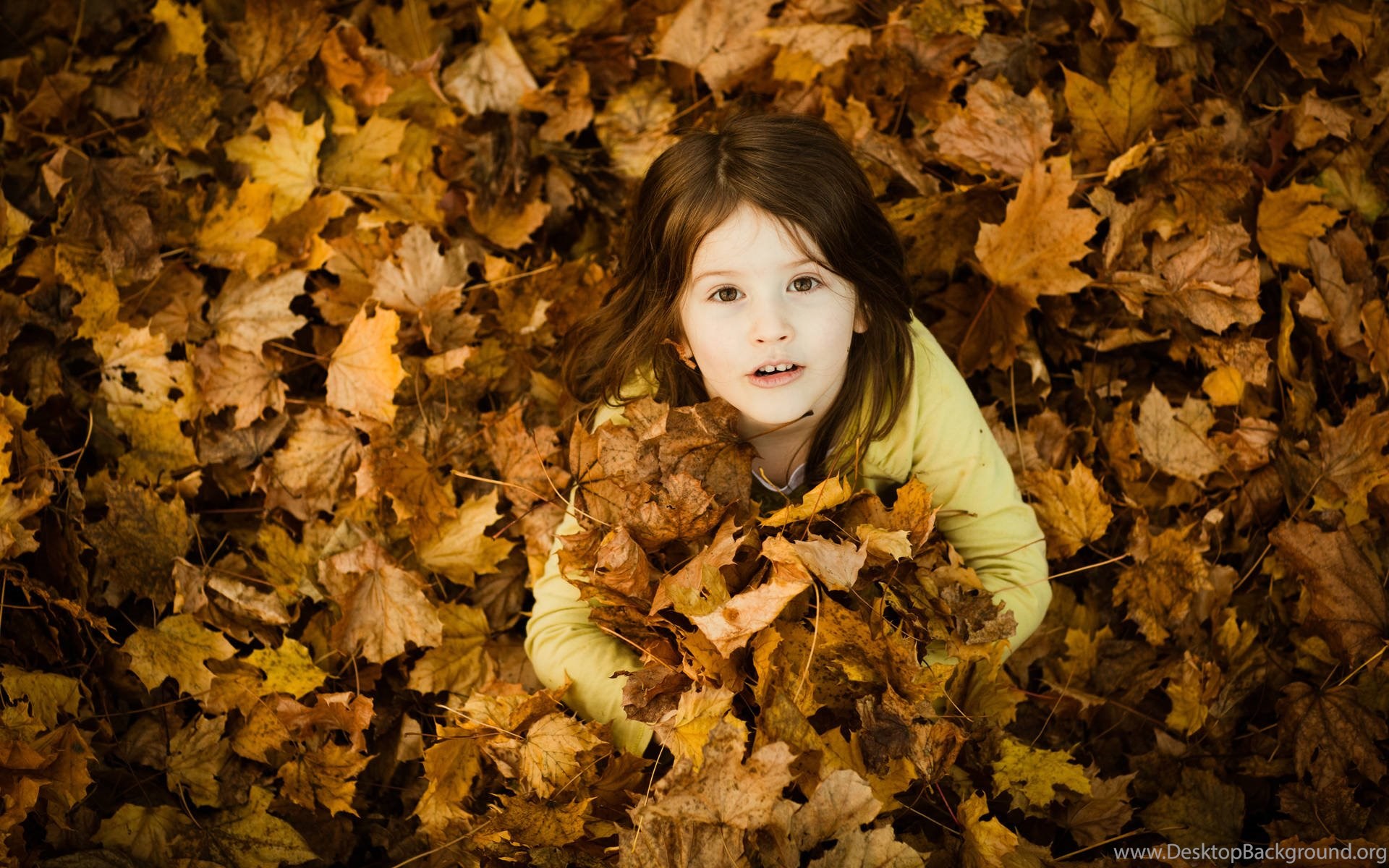 desktopbackground org