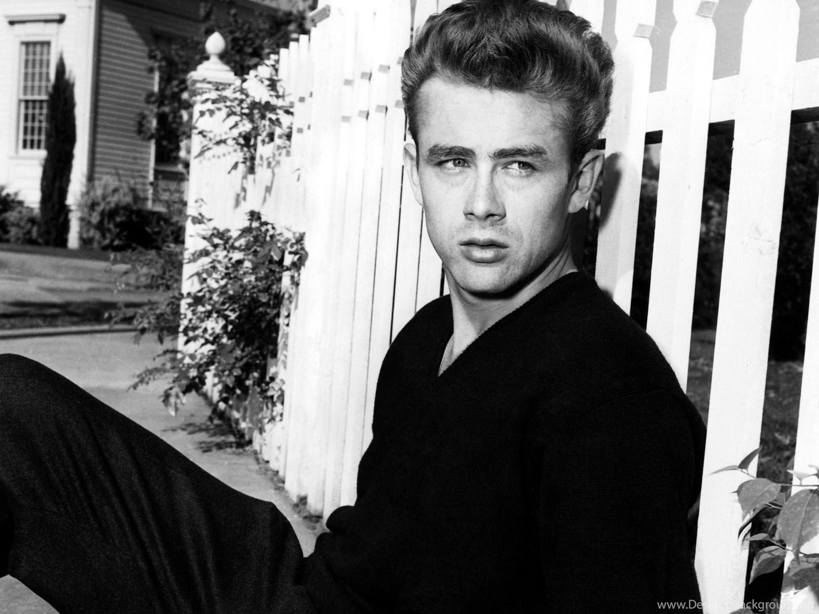 Fonds D Ecran James Dean Tous Les Wallpapers James Dean Desktop Background